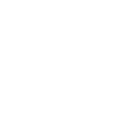 9x999 icon