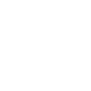 9x999 icon